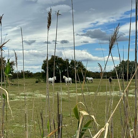 Le Mazet Sooksabai, Confort, Charme Et Decouverte En Petite Camargue Saint-Laurent-dʼAigouze Exterior foto