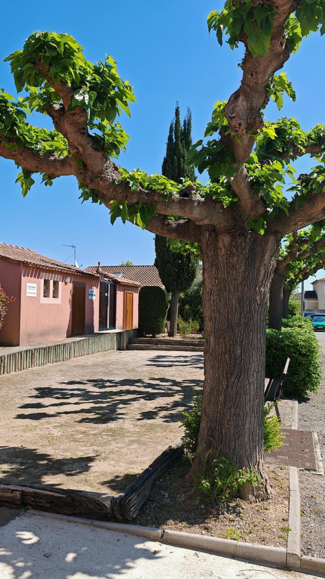 Le Mazet Sooksabai, Confort, Charme Et Decouverte En Petite Camargue Saint-Laurent-dʼAigouze Exterior foto